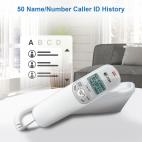 TR1909 - view 6 of 12